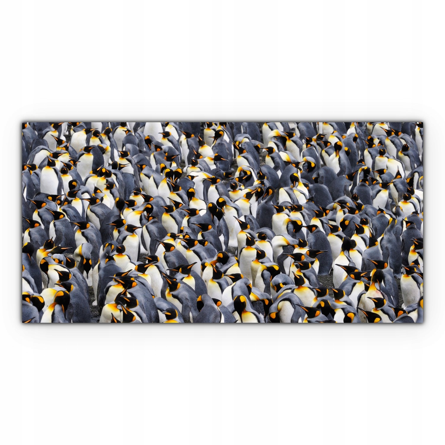 

Canvas płótno do sypialni 120x60 Pingwin Krajobraz