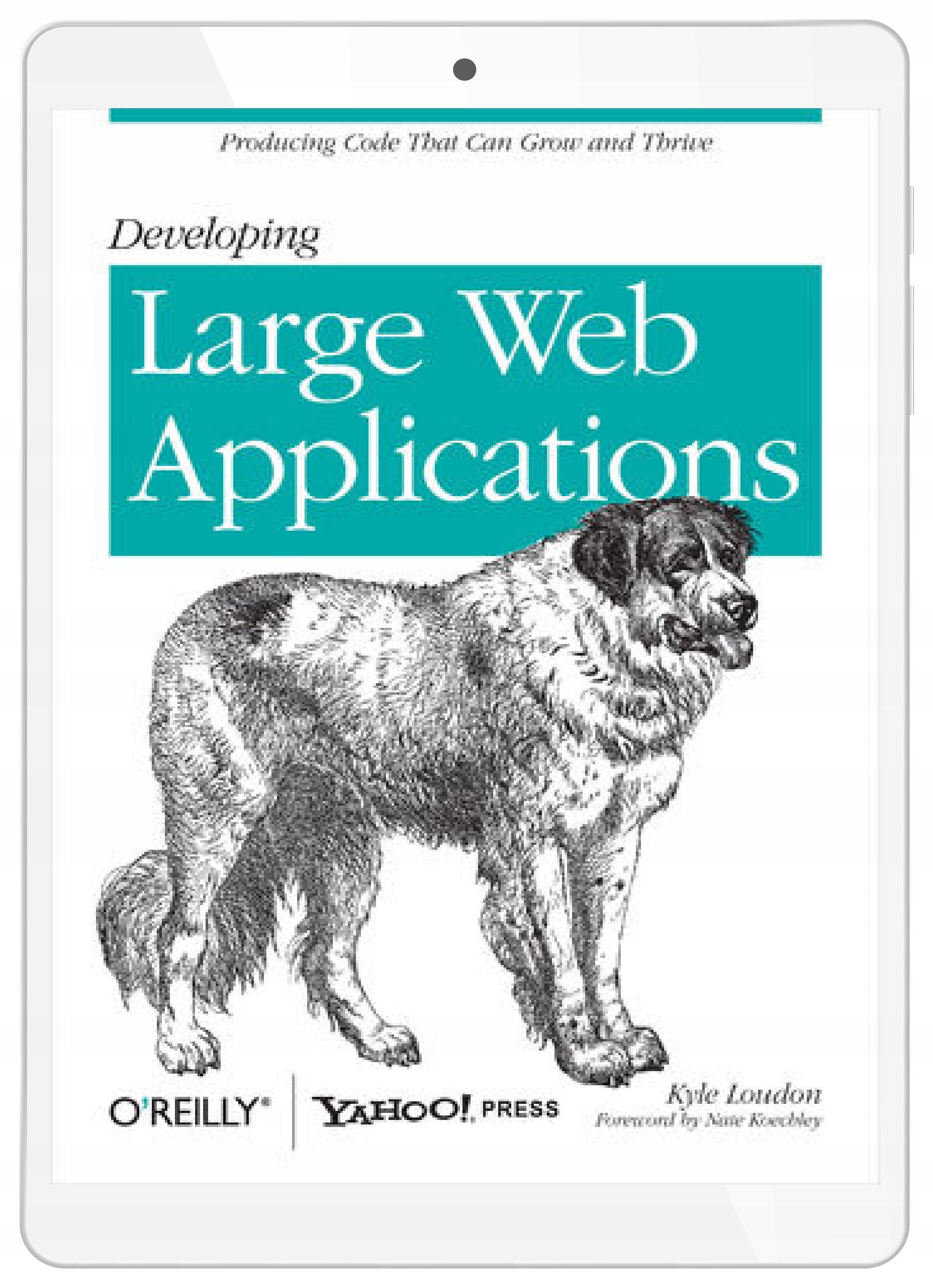 Developing Large Web Applications. Producing Code