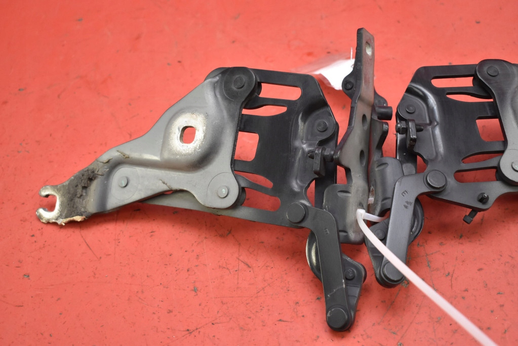 CERNIERA CERNIERE COFANO BMW X5 E70 06-10