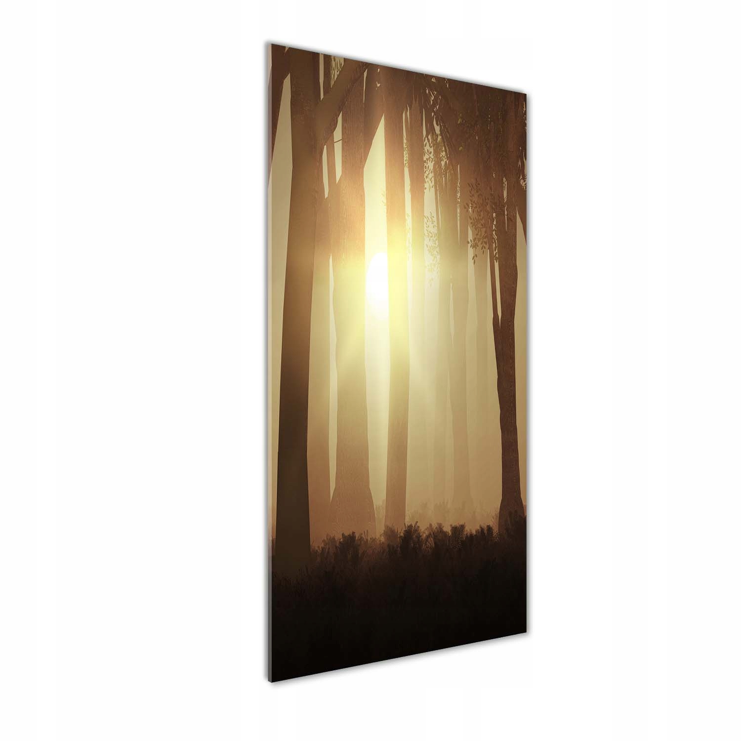 

Nowoczesny fotoobraz akrylowy Mgłą w lesie 50x125