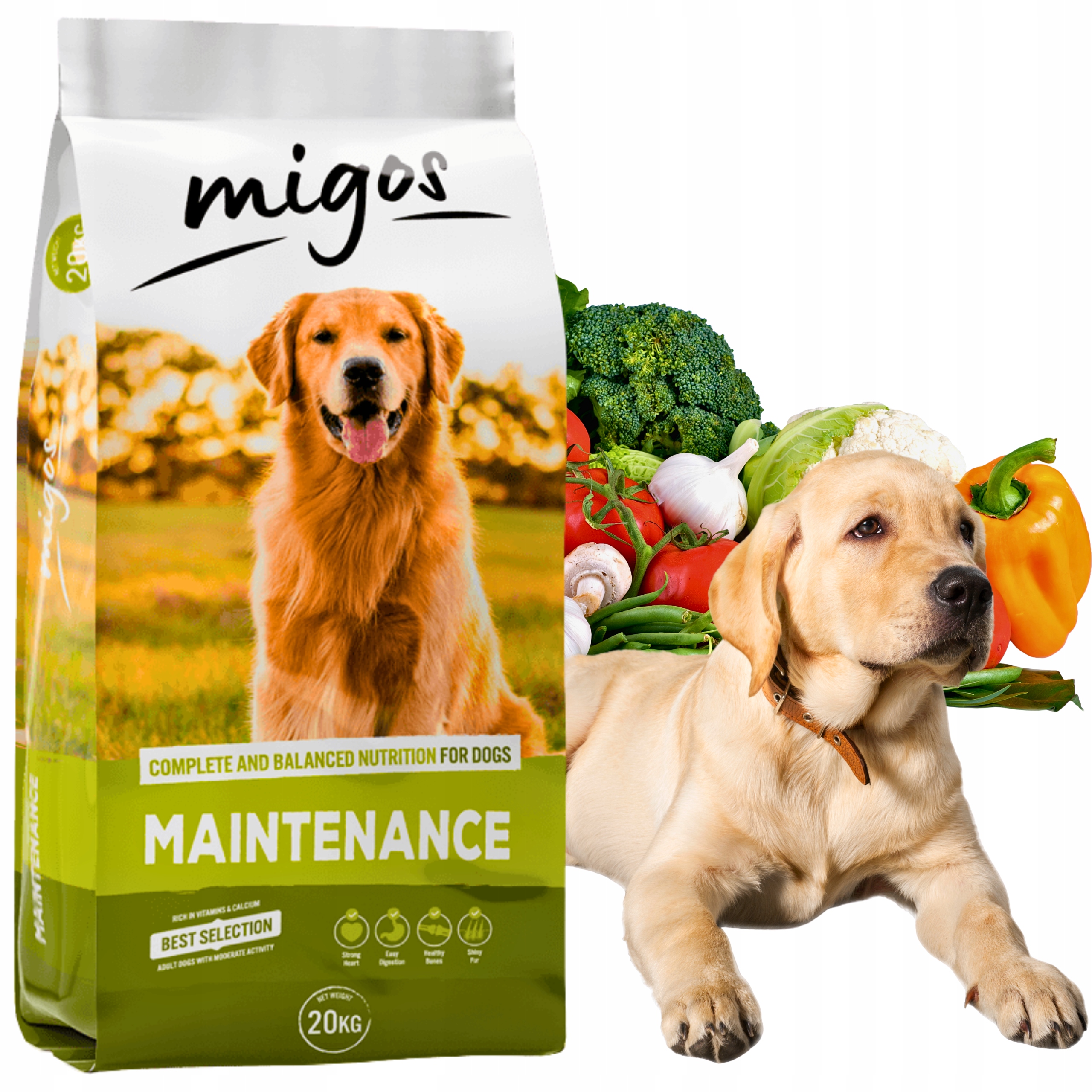 Levně Suché Krmivo pro dospělého psa s nízkým obsahem tuku Migos Maintenance 20 kg