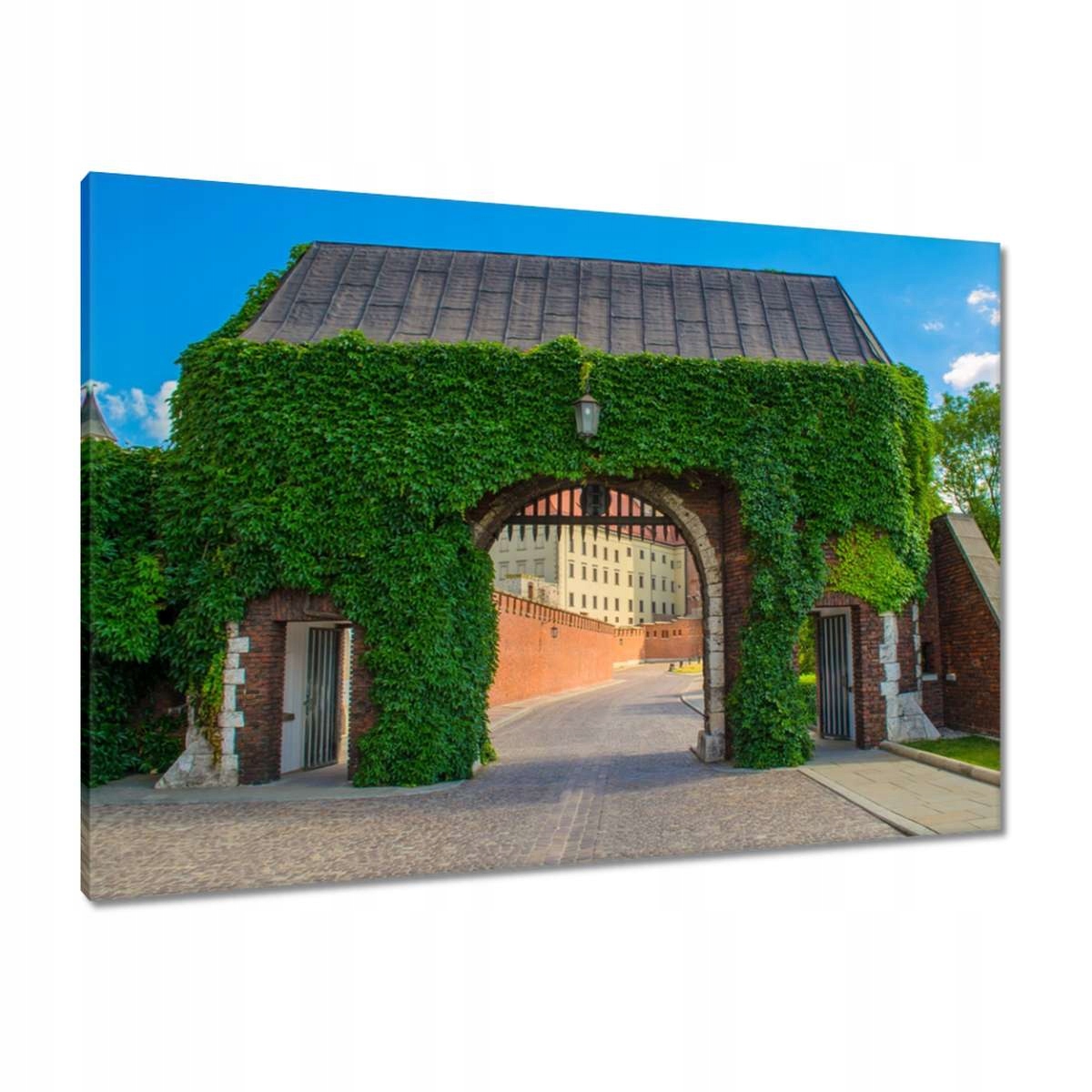 Obrazy 100x70 Krakov Wawel brána