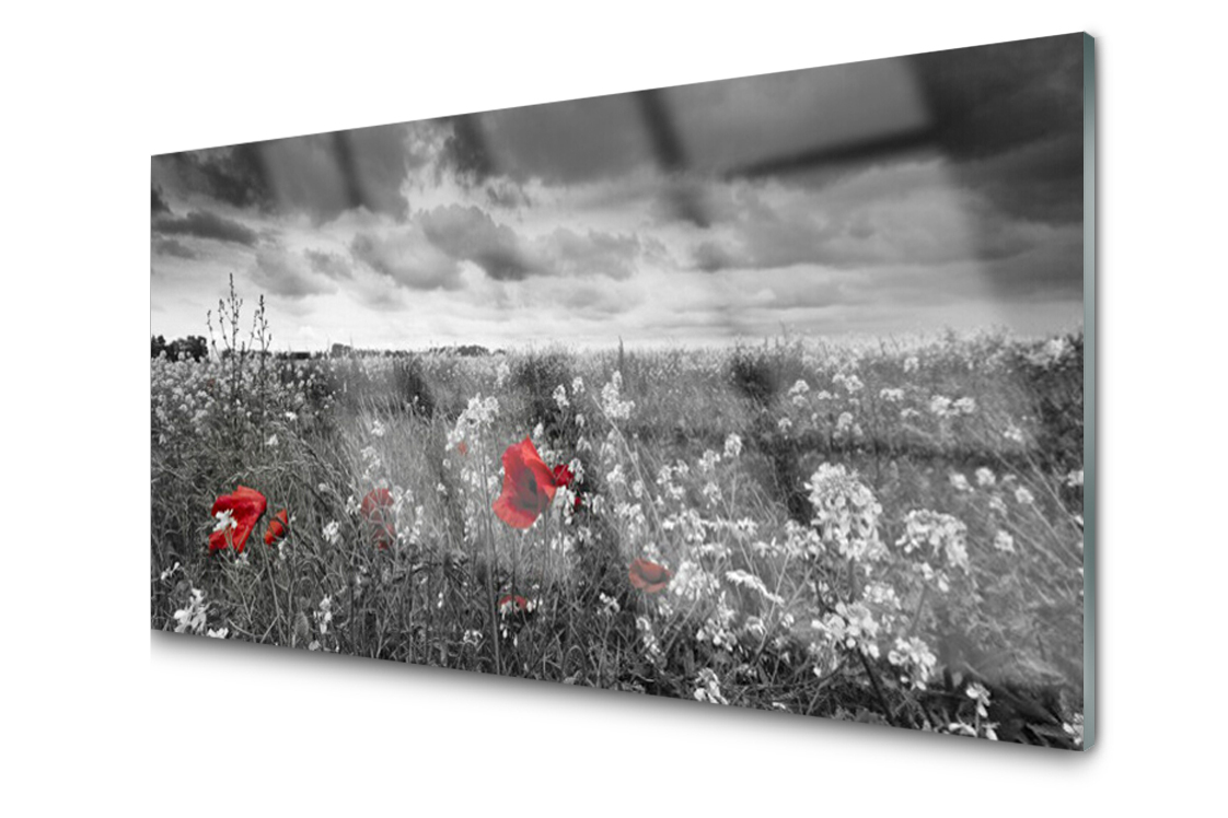 

Panel szklany Płytka Łąka Kwiaty 140x70 + Klej