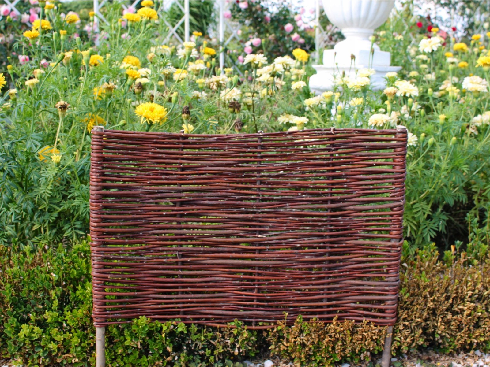Prútený plot - Palisáda 60x40/60 Výrobca