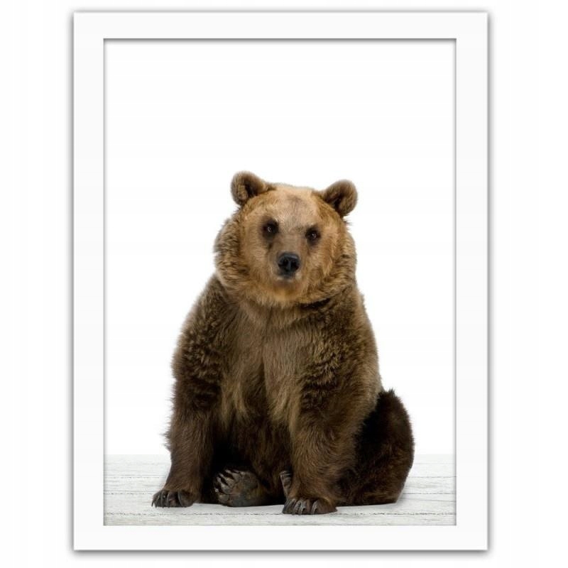 Карточки Домана медведь. Карточка медведь. Медведь карточка для детей. Картинки Домана медведь.