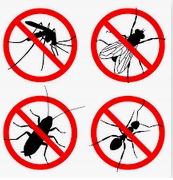 LEP NA MUCHY OWADY W ROLCE CIT 3D 10CMX7M KERBL Marka Kerbl