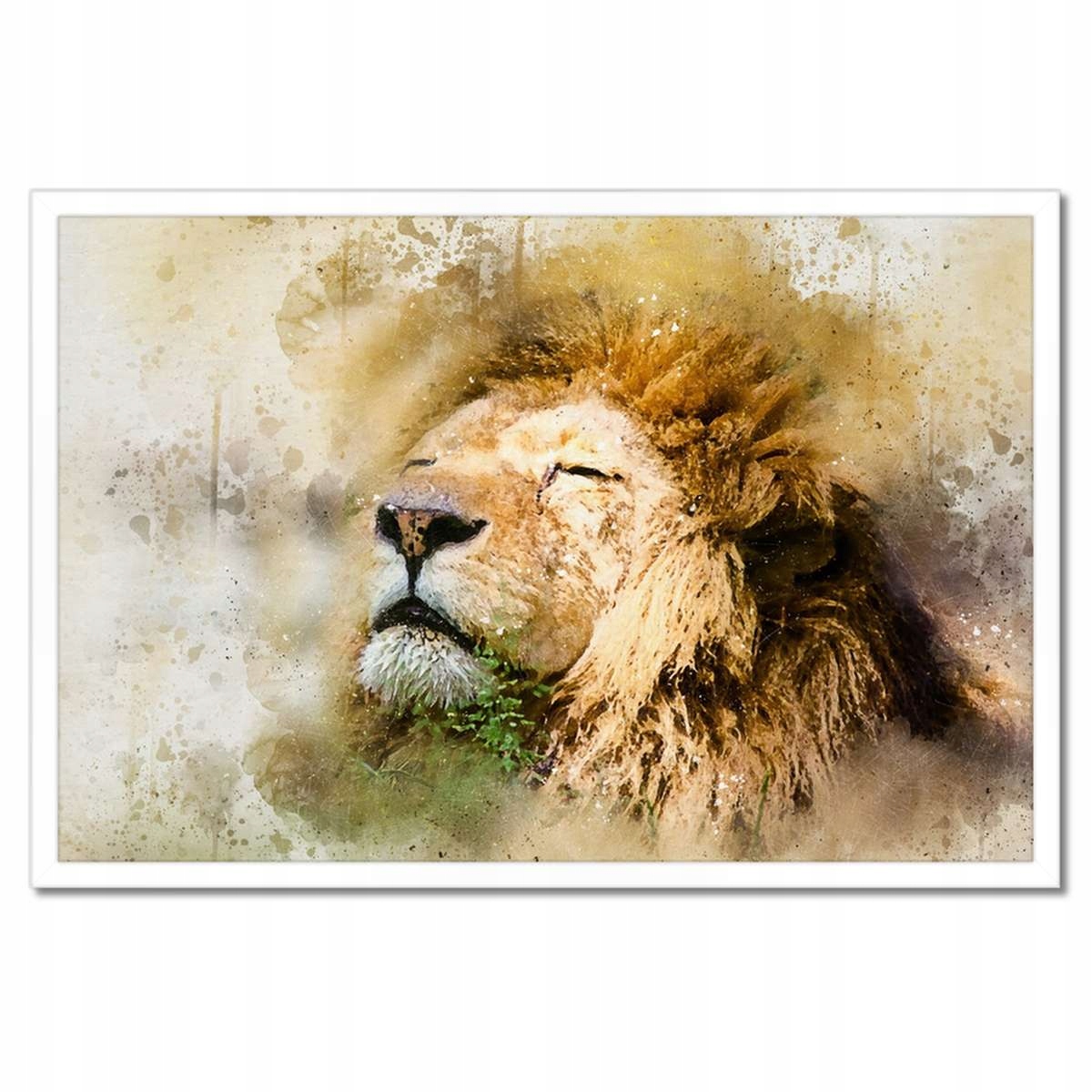 Plakáty v rámu 60x40 Lev