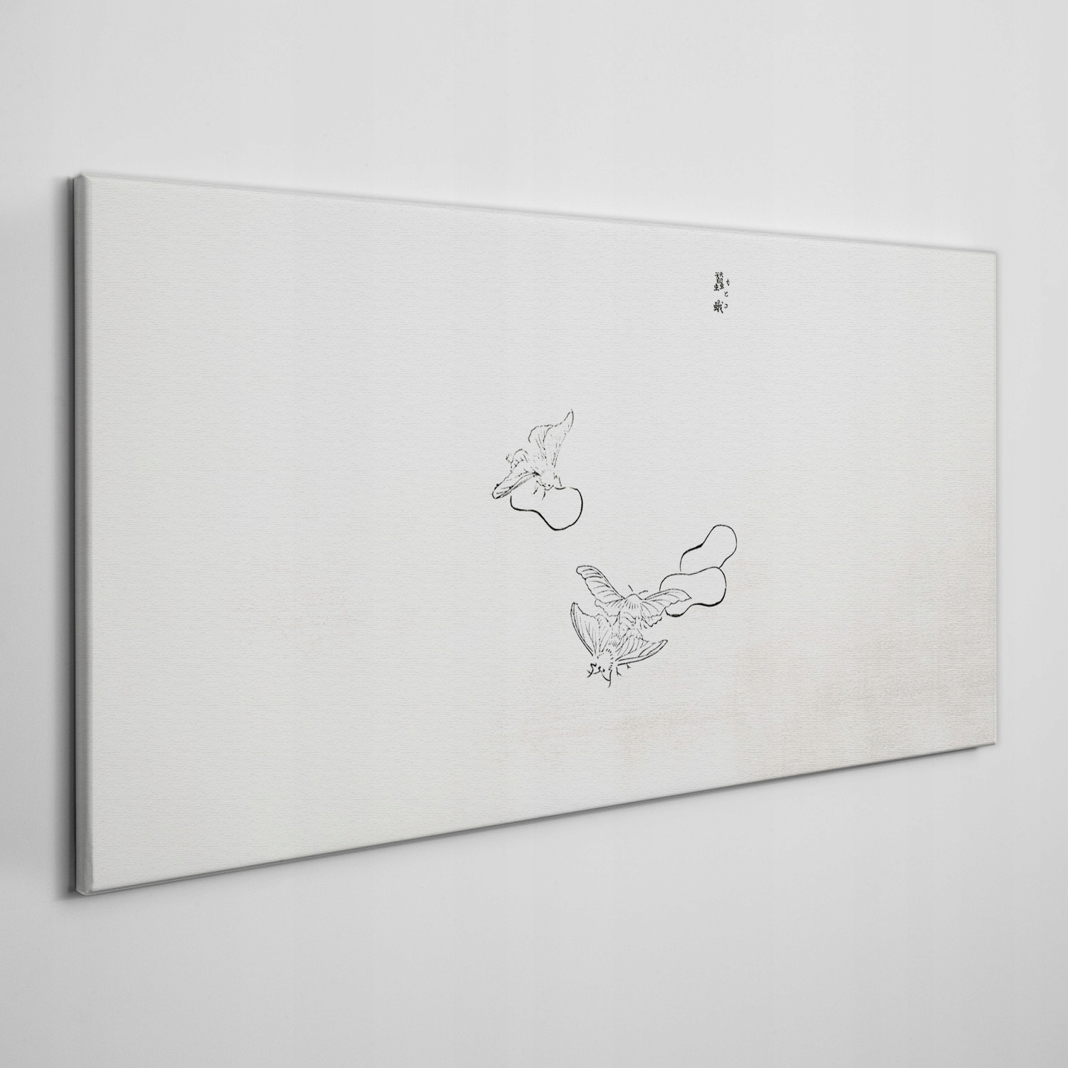 

Nowoczesny obraz na płótnie Szkic owad 140x70 cm