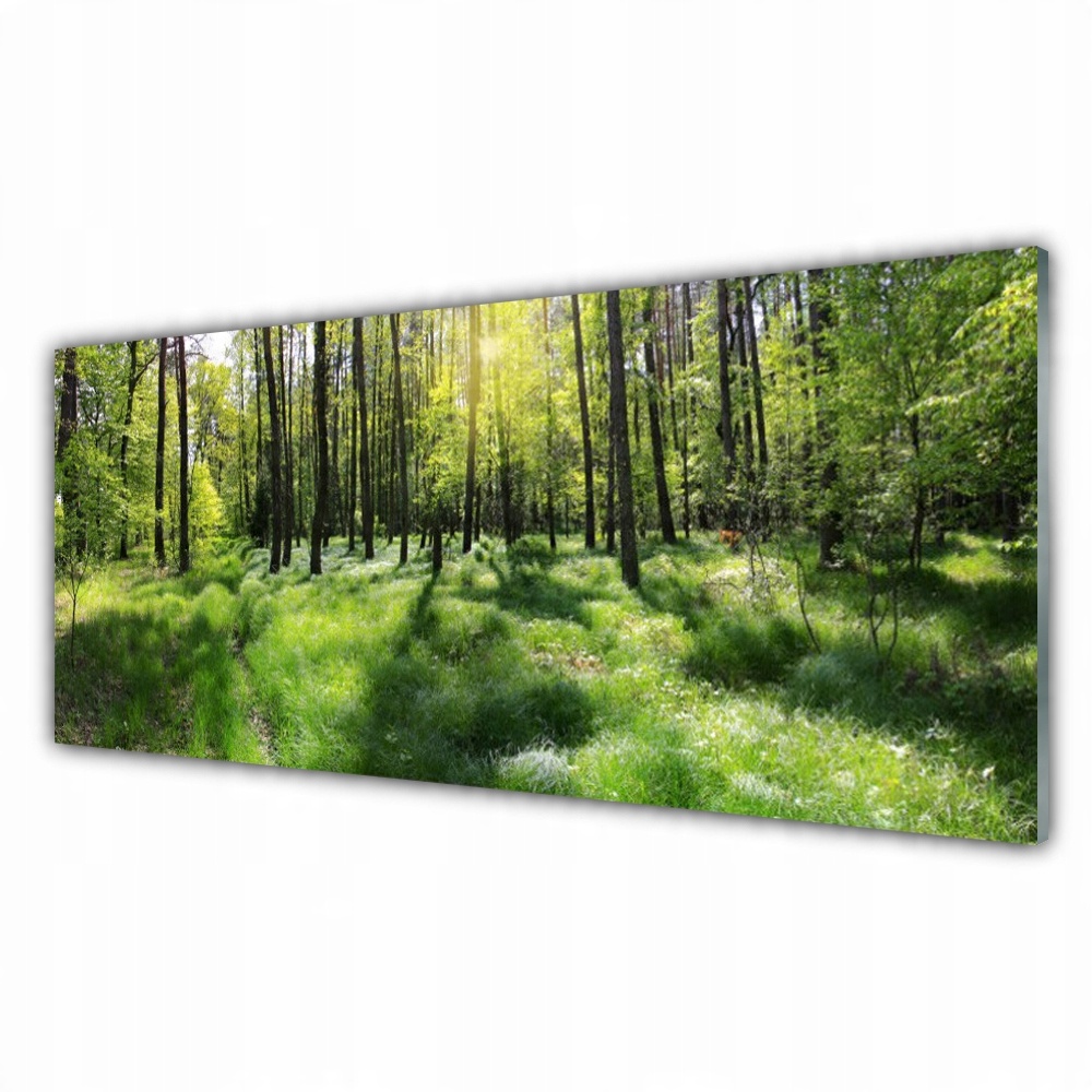 

Obraz na prezent 125x50 Las Trawa Roślina Natura