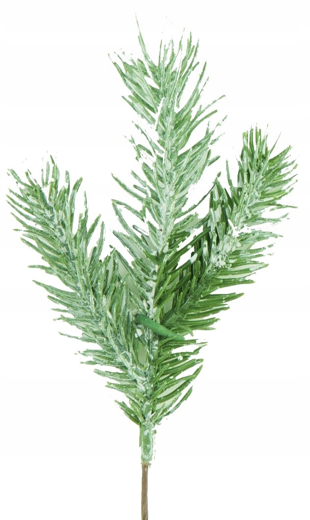 

Gałązka Zielona Ośnieżona Igły Śnieg Święta 18 CM