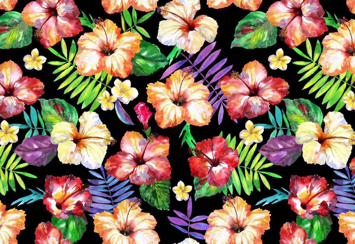 

Fototapeta Flizelinowa Kwiaty Hibiskus 152x104
