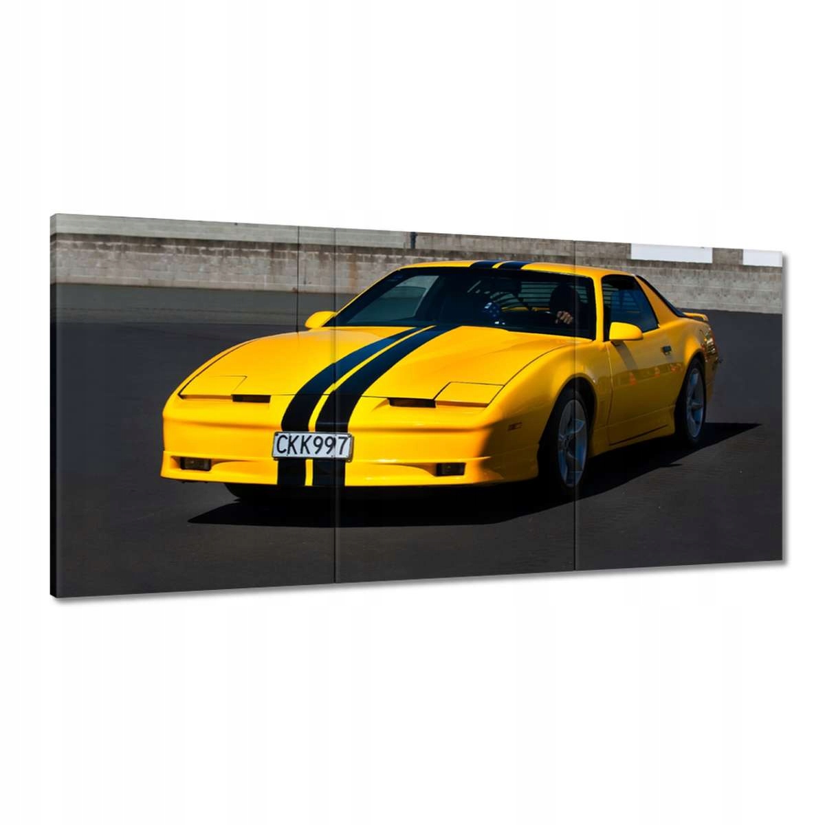 Obrazy 180x90 Pontiac Firebird 1984