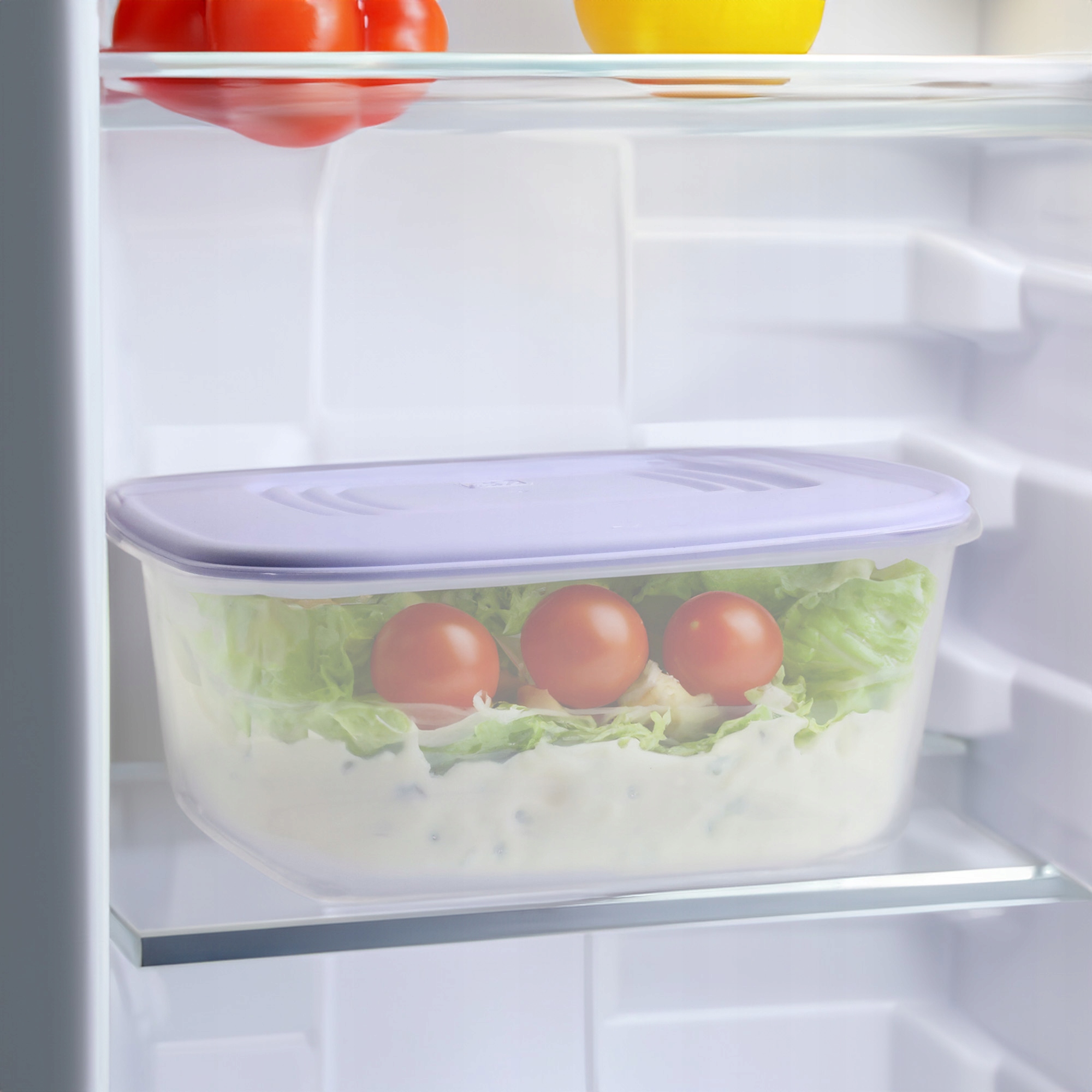 PLASTIKOWY POJEMNIK Z POKRYWKĄ DO PRZECHOWYWANIA ZAMRAŻANIA ŻYWNOŚCI 3L