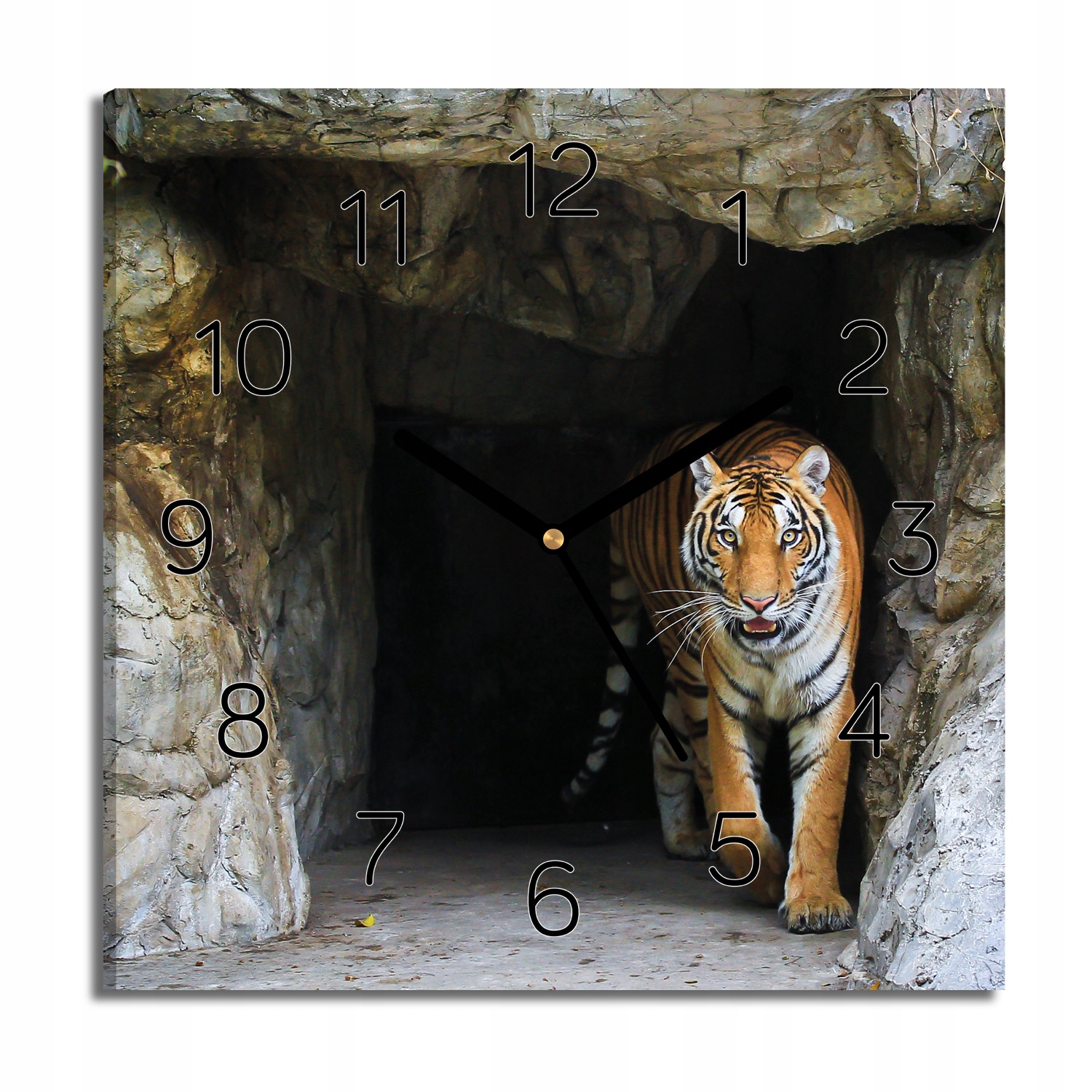 

zegar canvas Tygrys w jaskini ze zdjęciem 30x30