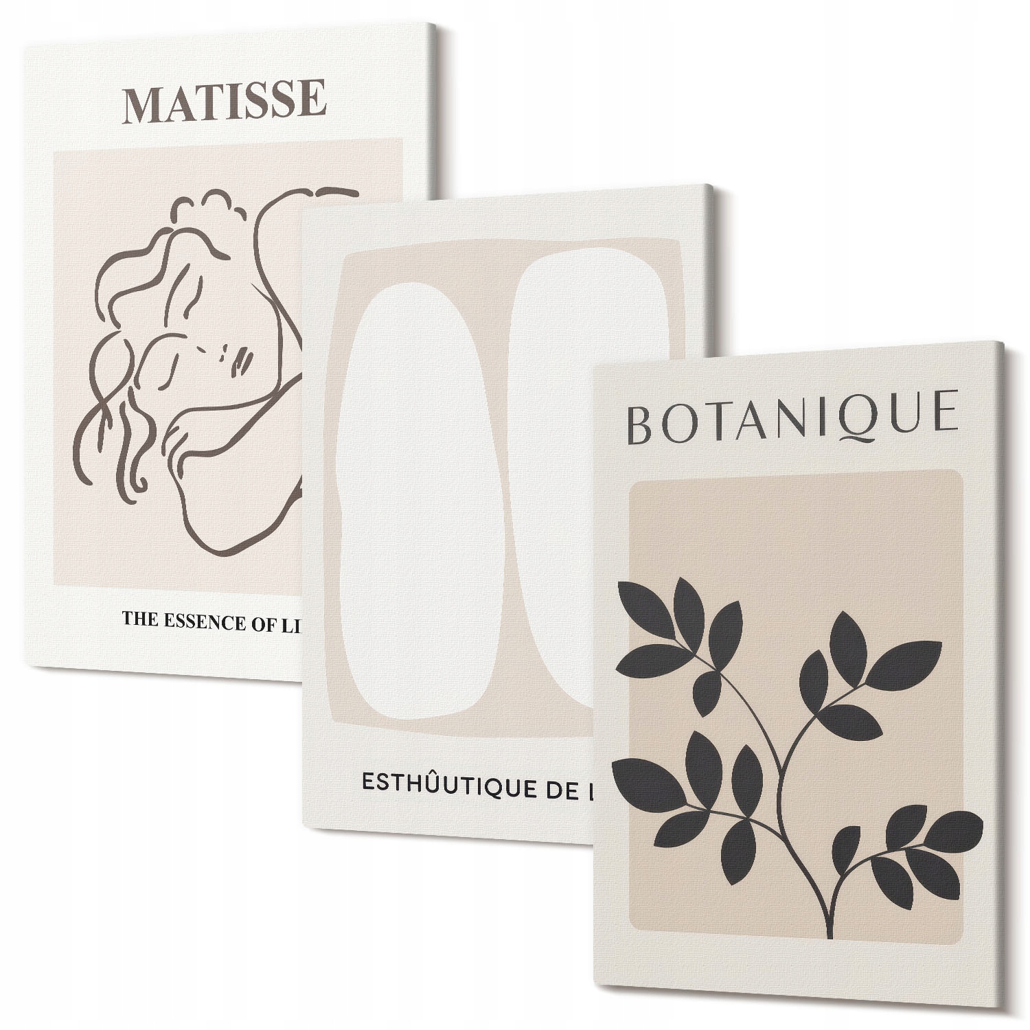 Vícedílná sada obrazů Galerie Stylové rostlinné obrazy Matisse 30x20 cm