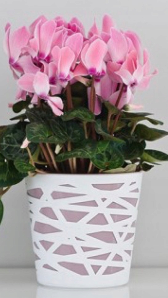 Osłonka Doniczka BETI 13 cm Biała wkład Biały Średnica 13 cm