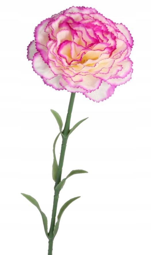 SZTUCZNE KWIATY ROŚLINY GOŹDZIK POJEDYNCZY GOŹDZIKI Rodzaj galązki