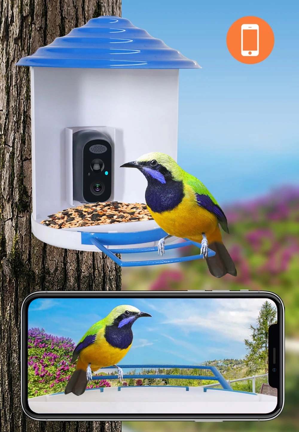 Išmani paukščių lesyklėlė su kamera Full HD 1080p, Wi-Fi, su saulės panele, su naktiniu matymu, su PIR judesio jutikliu nuotrauka 10
