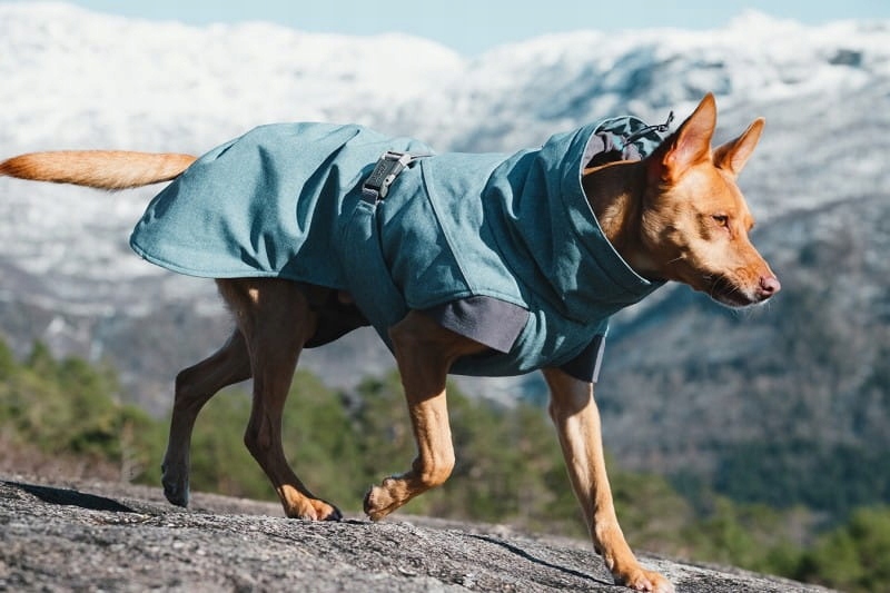 Levně Bunda Expedition Parka Hurtta Bilberry kabát pro psa, velikost 20