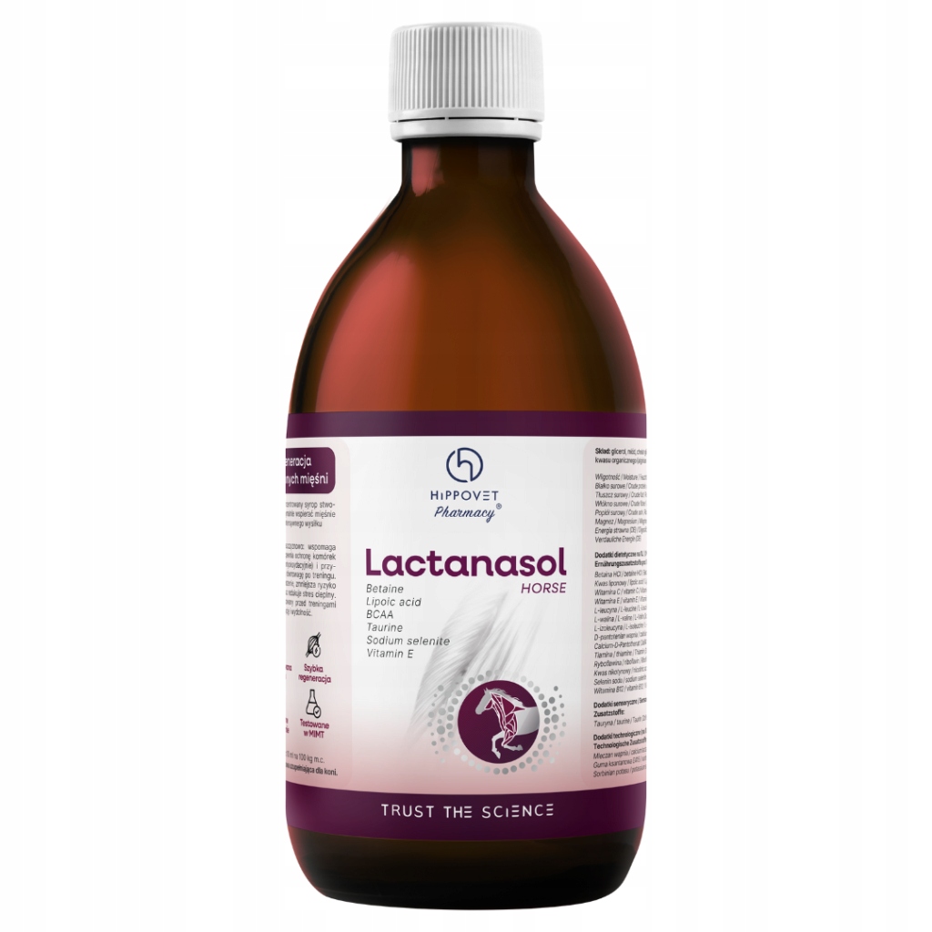 Hippovet Pharmacy Lactanasol 250 ml intensywne odkwaszanie i ochrona mięśni