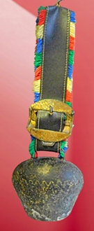 DZWONEK PASTERSKI ALPEJSKI NR 3