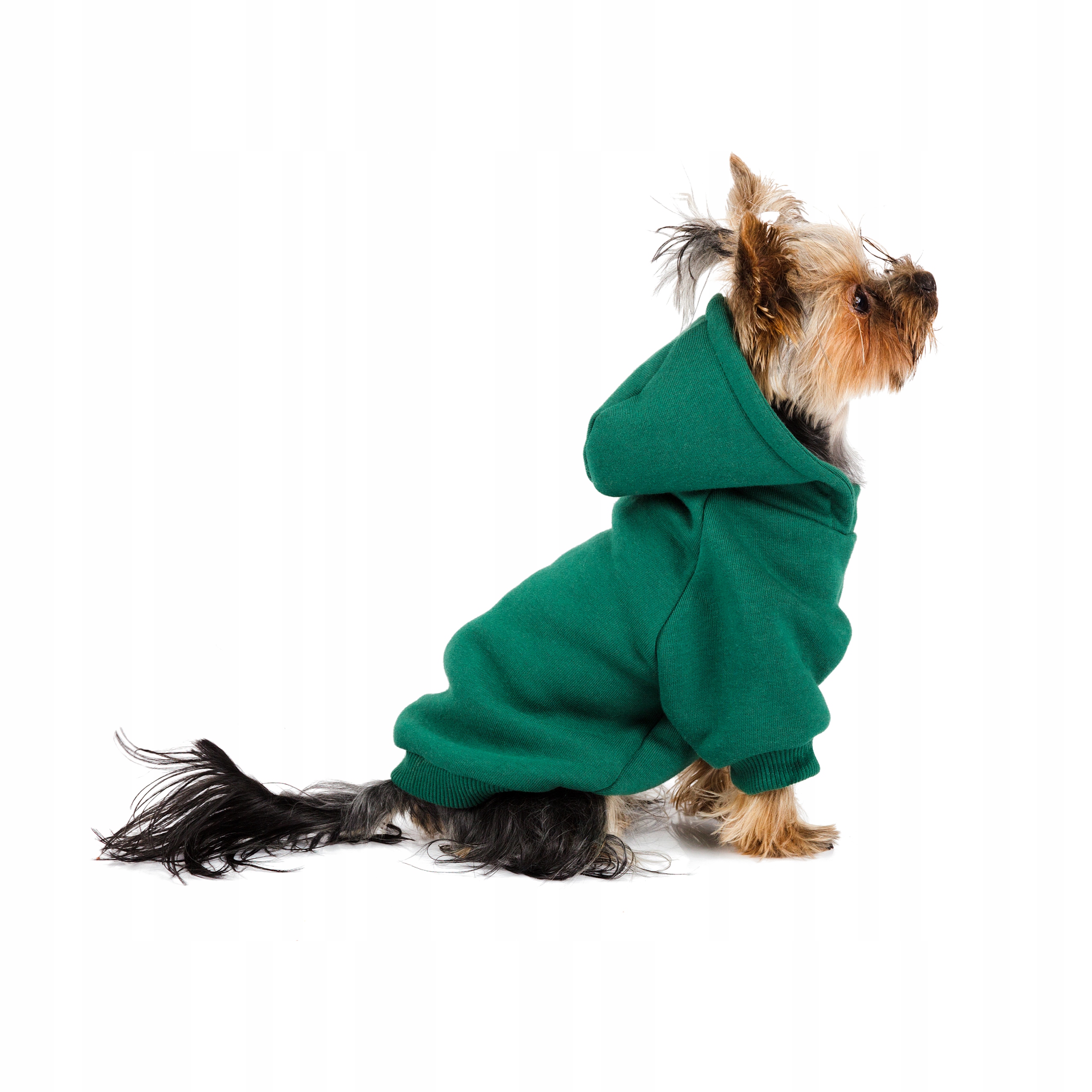 Levně Mikina Beloved Dog Green Mikina