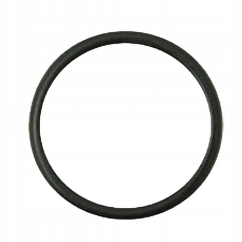 Oring do tłoka 291,7 x 3,53 mm 71702028