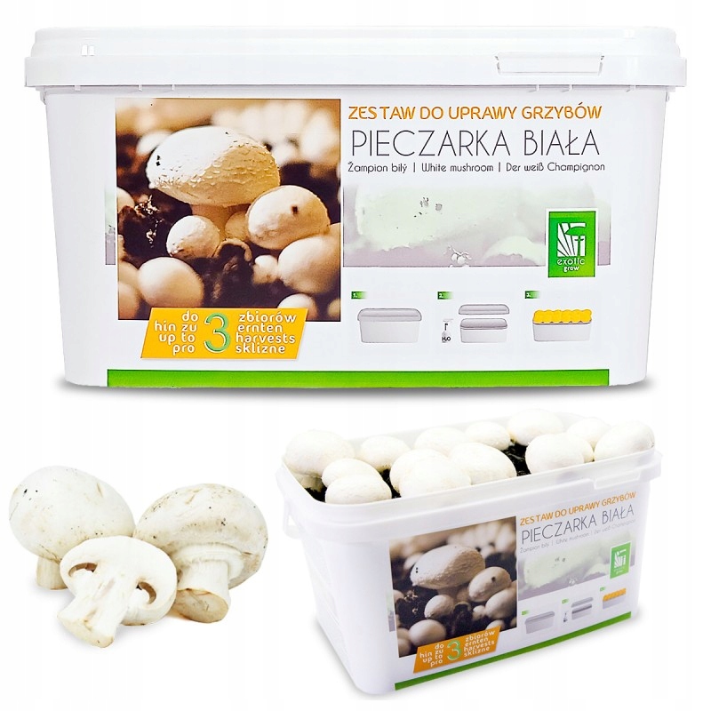 

Domowa uprawa Pieczarki Białej Grzybnia 5L