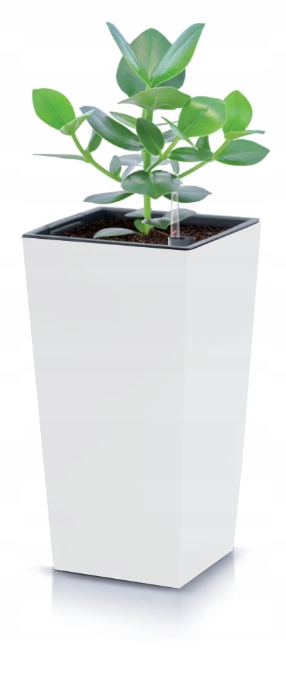 DONICZKA DUŻA BIAŁA OGRODOWA PRZED DOM TARAS WKŁAD