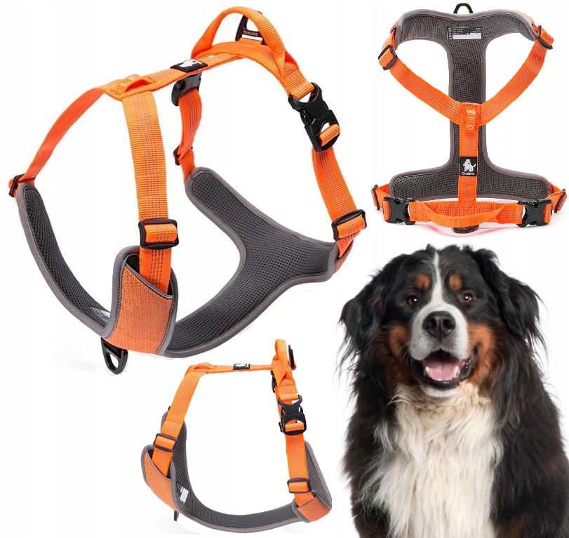 Levně Reflexní Postroj Pro Psa Guard Easy Walk Truelove Lumen Oranžový XL