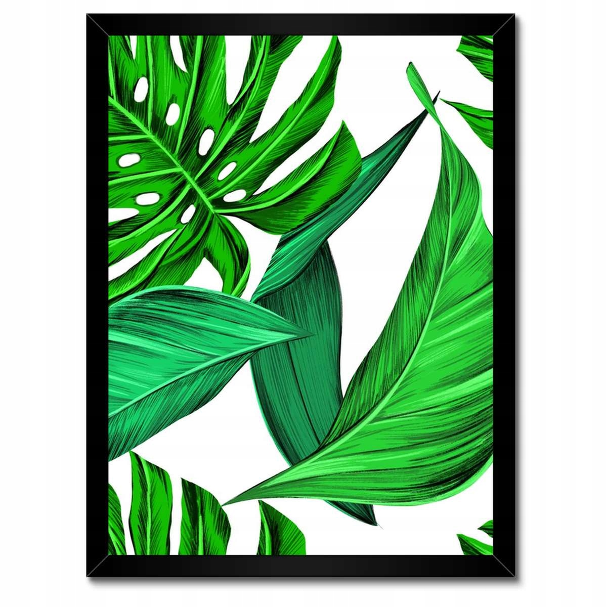 Plakáty v rámu 30x40 Šťavnatá Monstera Tropiky