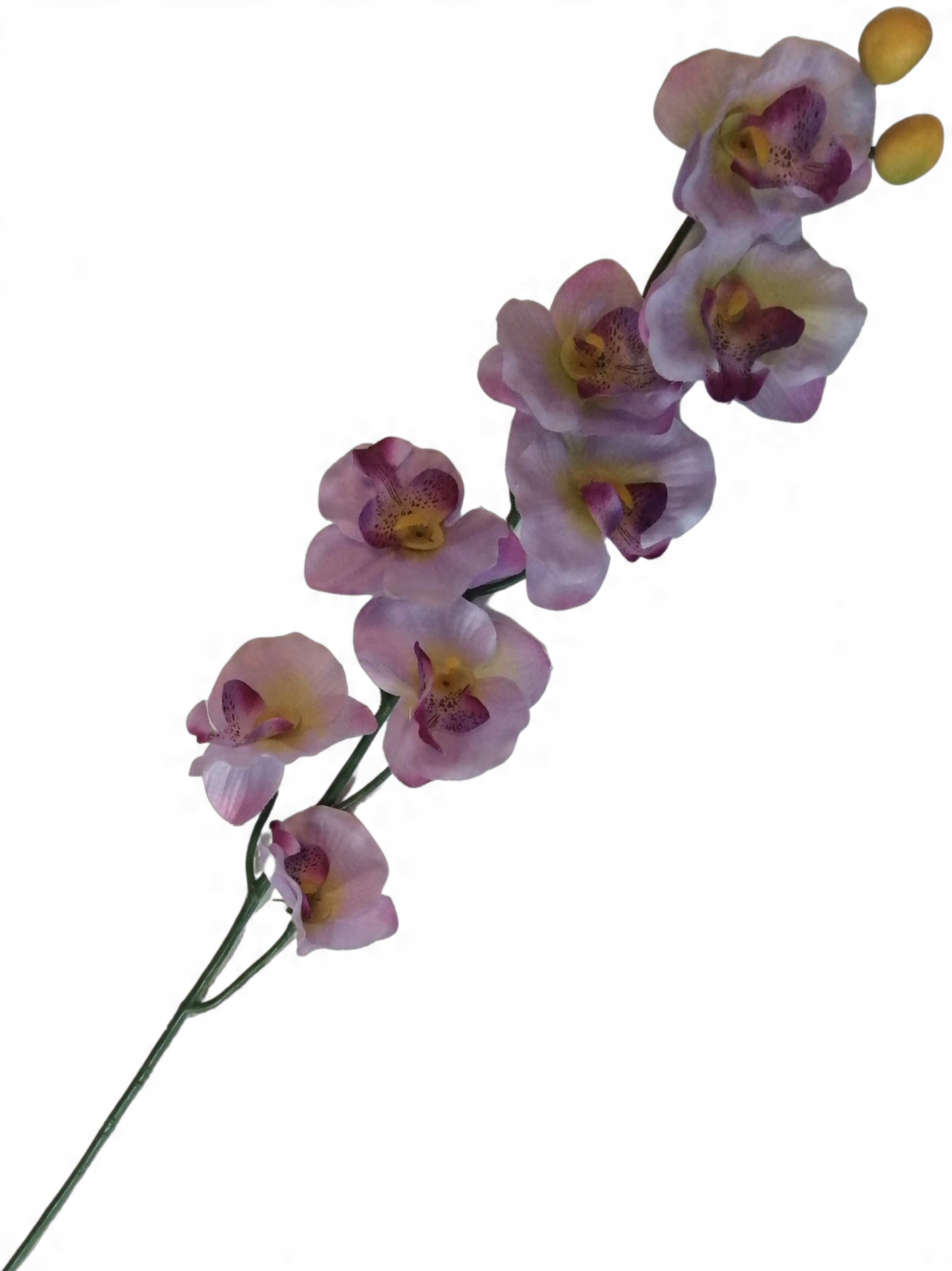 

Storczyk Fiolet Sztuczny Orchidea Gałązka Aż 72CM