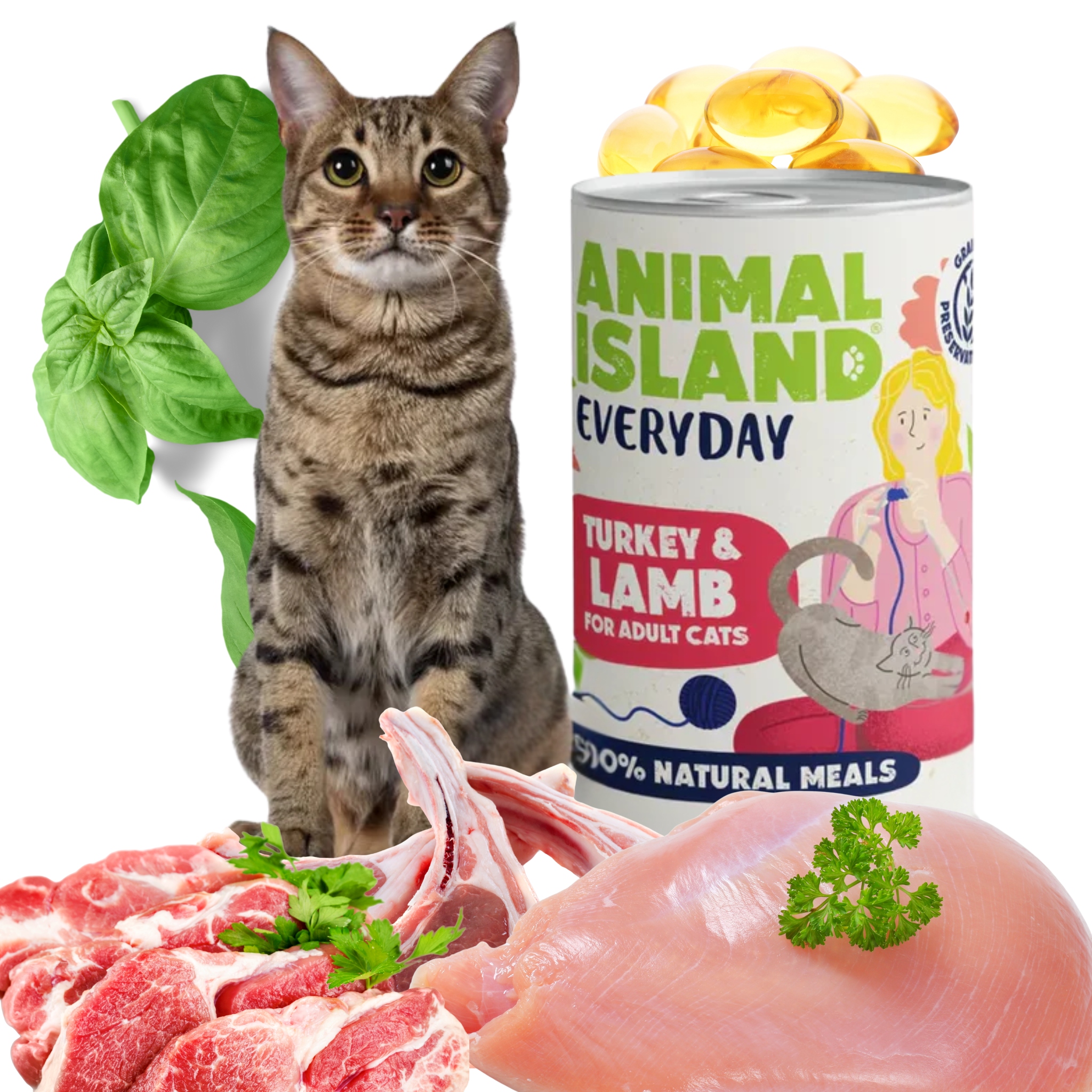 Levně Krmivo pro kočky bez obilovin Animal Island krůta jehněčí Everyday 400g 12 Ks