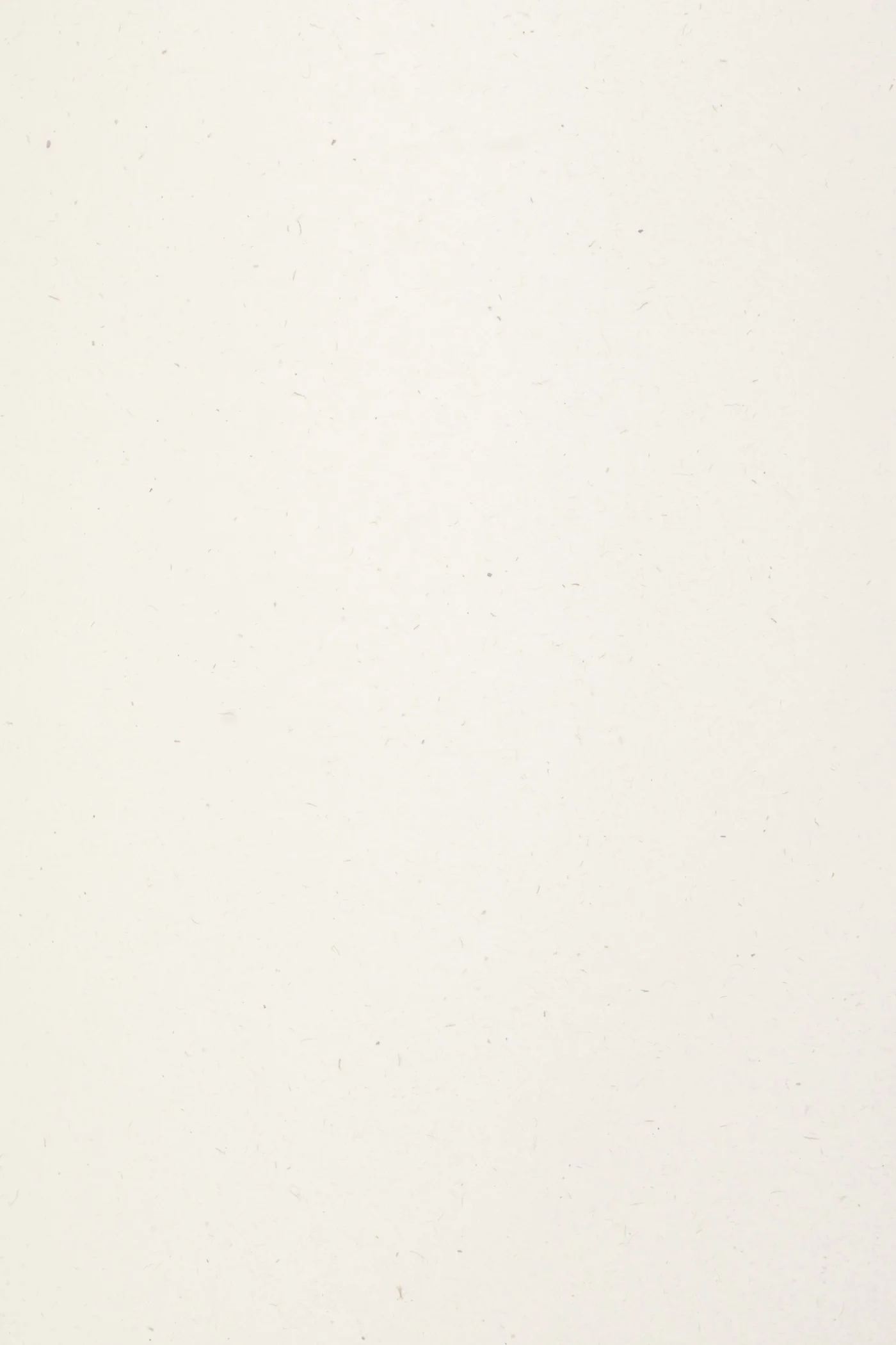 

Papier Freelife Kendo 120g White biały 10A4