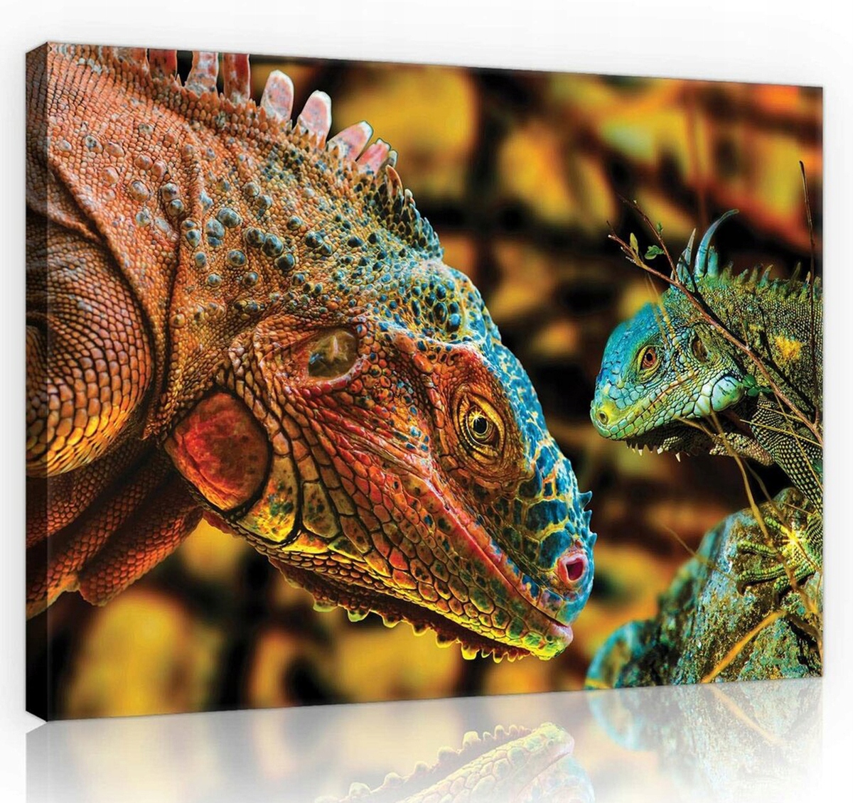 Obraz Na Plátně Canvas 100x75 Varan Komodský Drak Ještěrka Plaz Zvířata