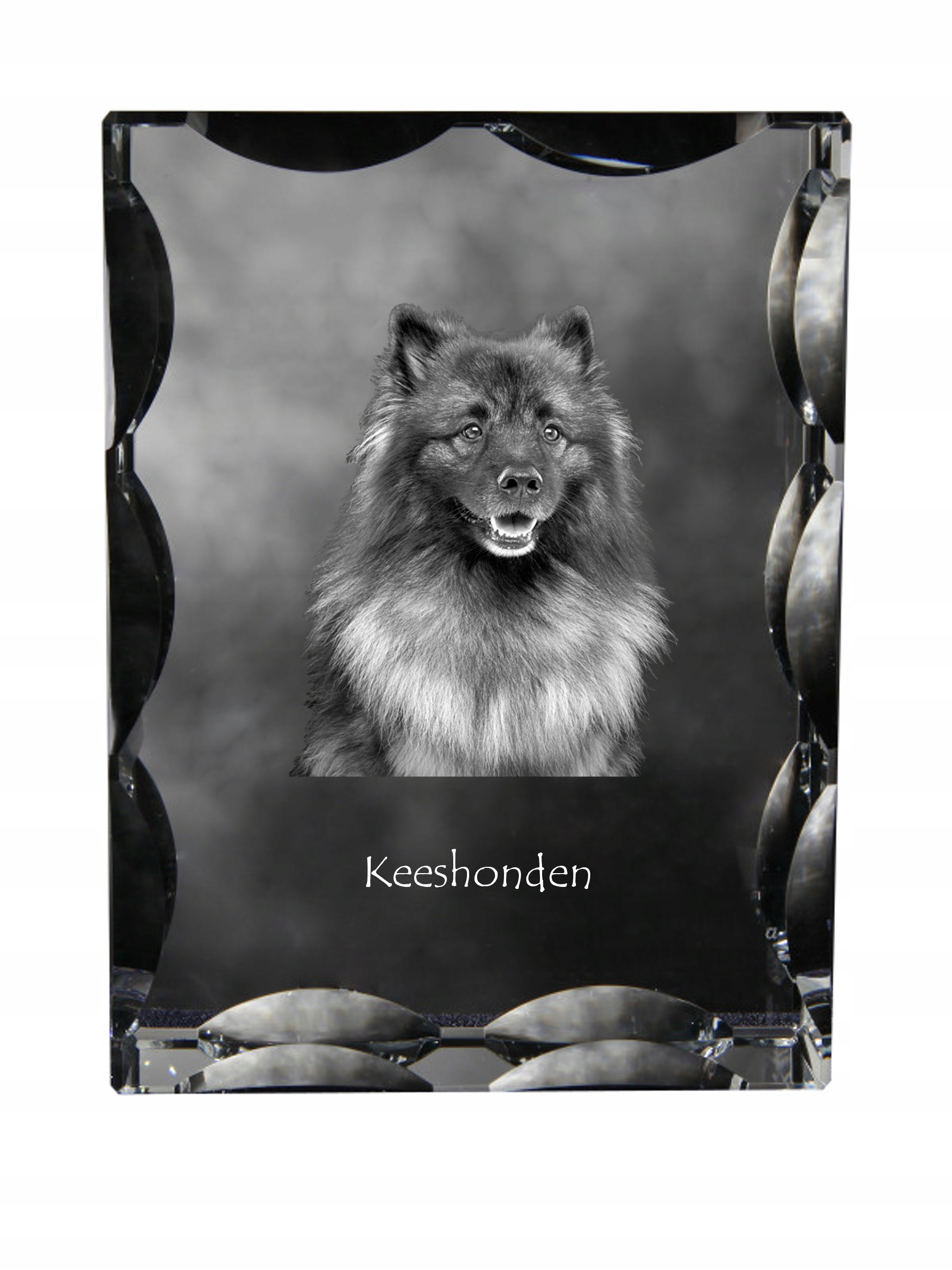 Szpic wilczy, Keeshond kryształ ze zdjęciem psa, szklana statuetka ze zdj