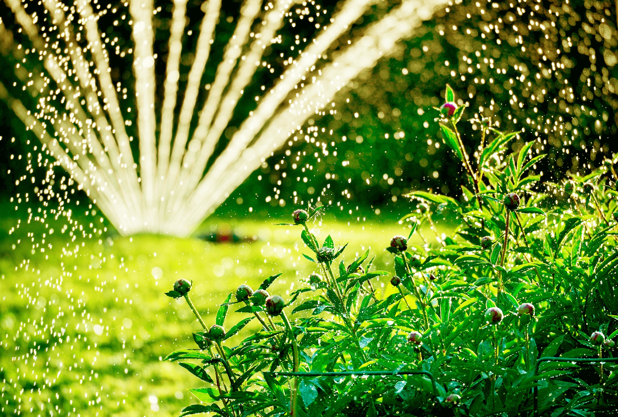 Czujnik temperatury tempSensor PRO BLEBOX WiFi + Cechy dodatkowe do zastosowania zewnętrznego łączność z wifi temperatura pracy poniżej 0°C