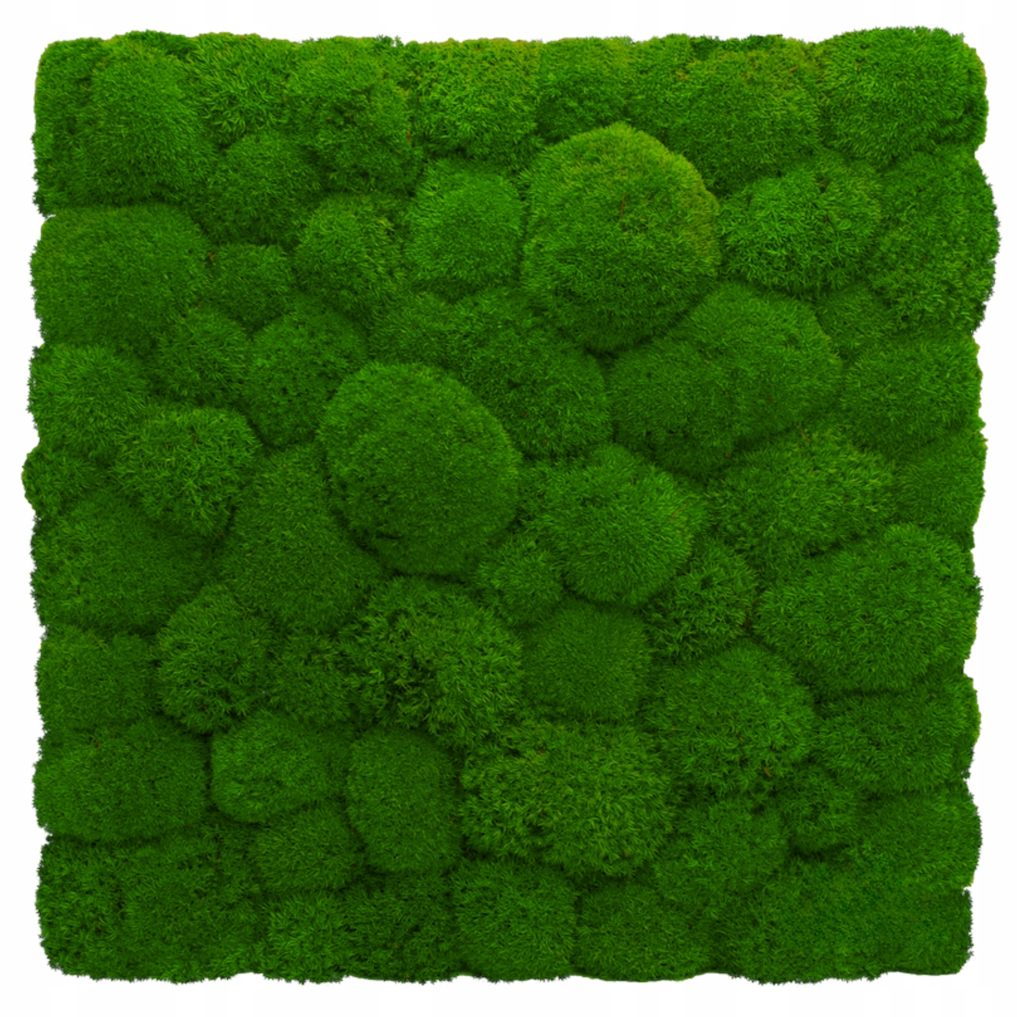 Panel z Polštářového mechu Zelená Stěna 3D mechová stěna 50x50 cm