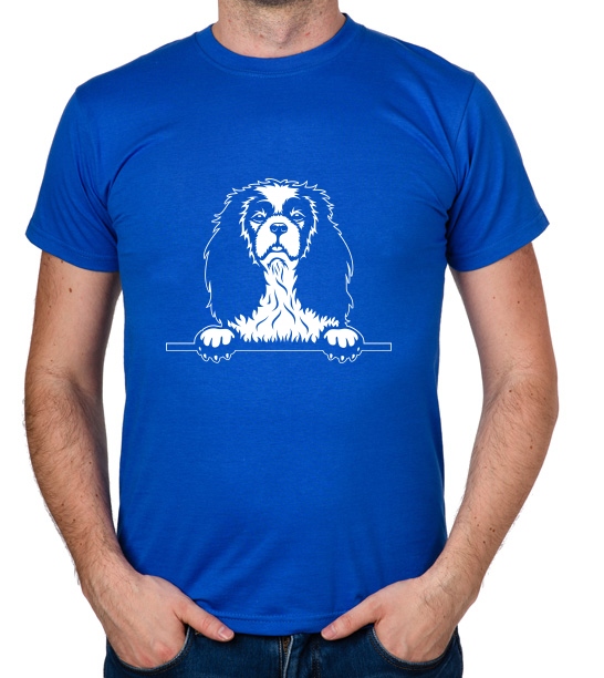 

koszulka Cavalier King Charles Spaniel prezent