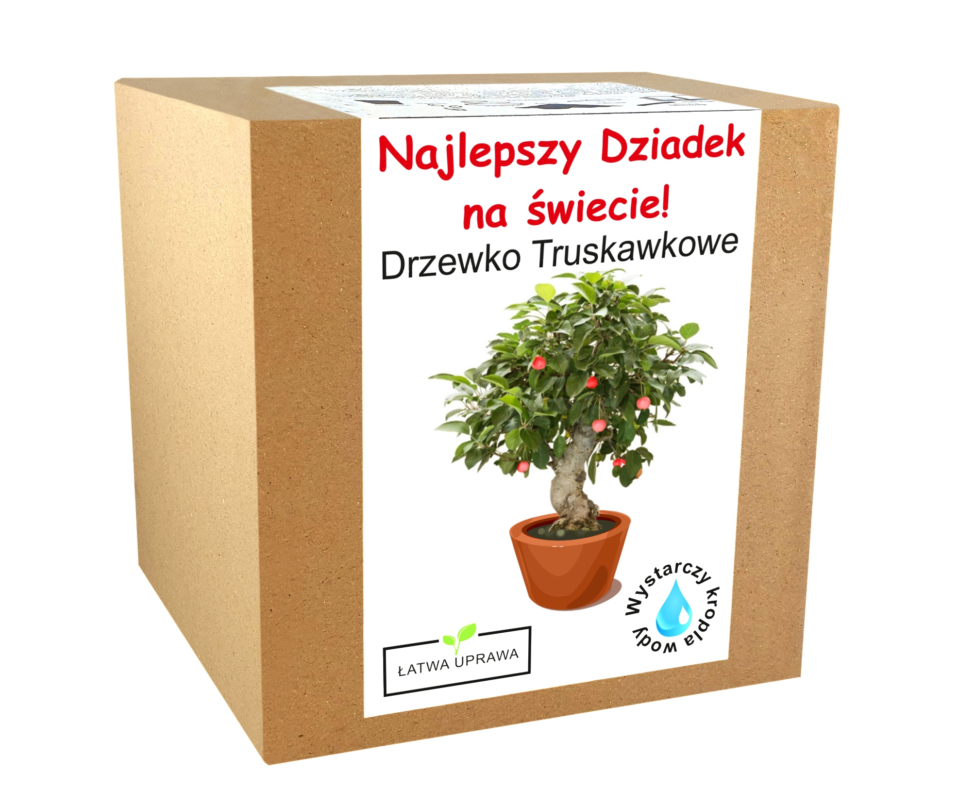 

Drzewko Truskawkowe na dzień dziadka babci