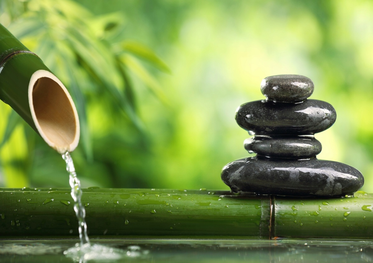 

Tapeta flizelinowa Bambusowa fontanna - 208x146