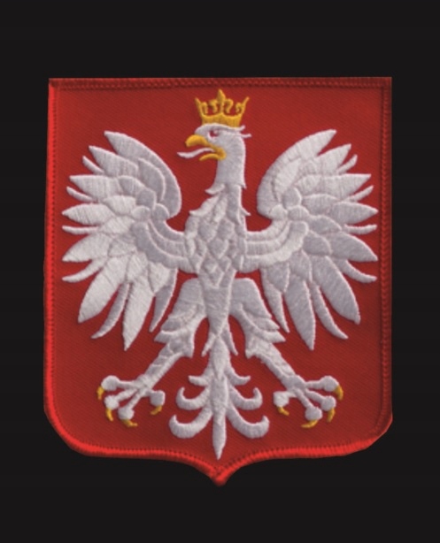 Spodenki Nike Reprezentacji Polski Short Jr Marka Nike