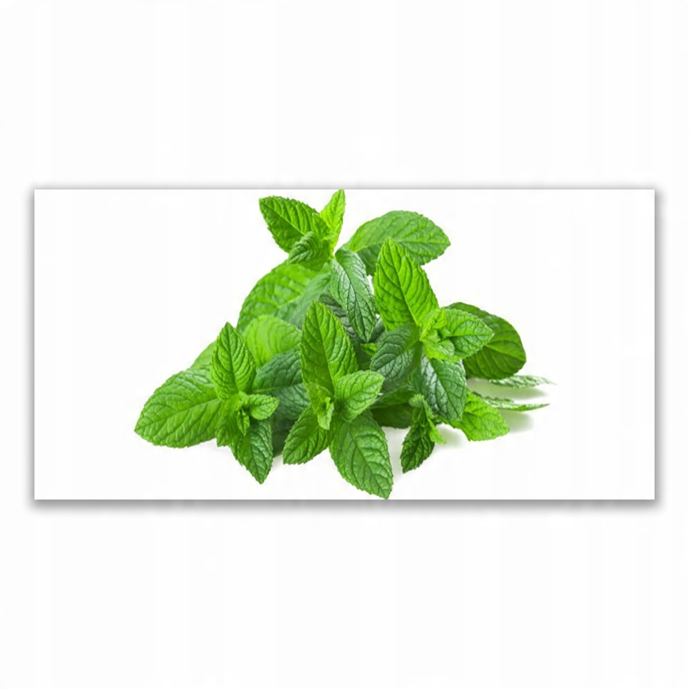 

Obraz akryl z grafiką 120x60 Mięta Roślina Natura