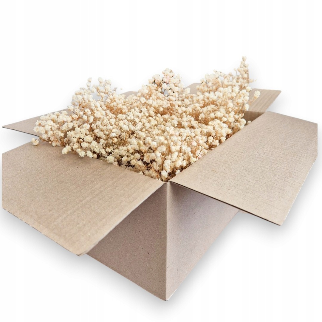 Gipsówka stabilizowana wiecznie żywa mini box 80g biała