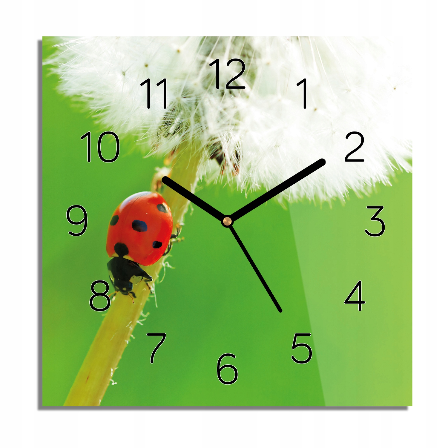 

Dmuchawiec biedronka zegar na szkle 30x30 z foto