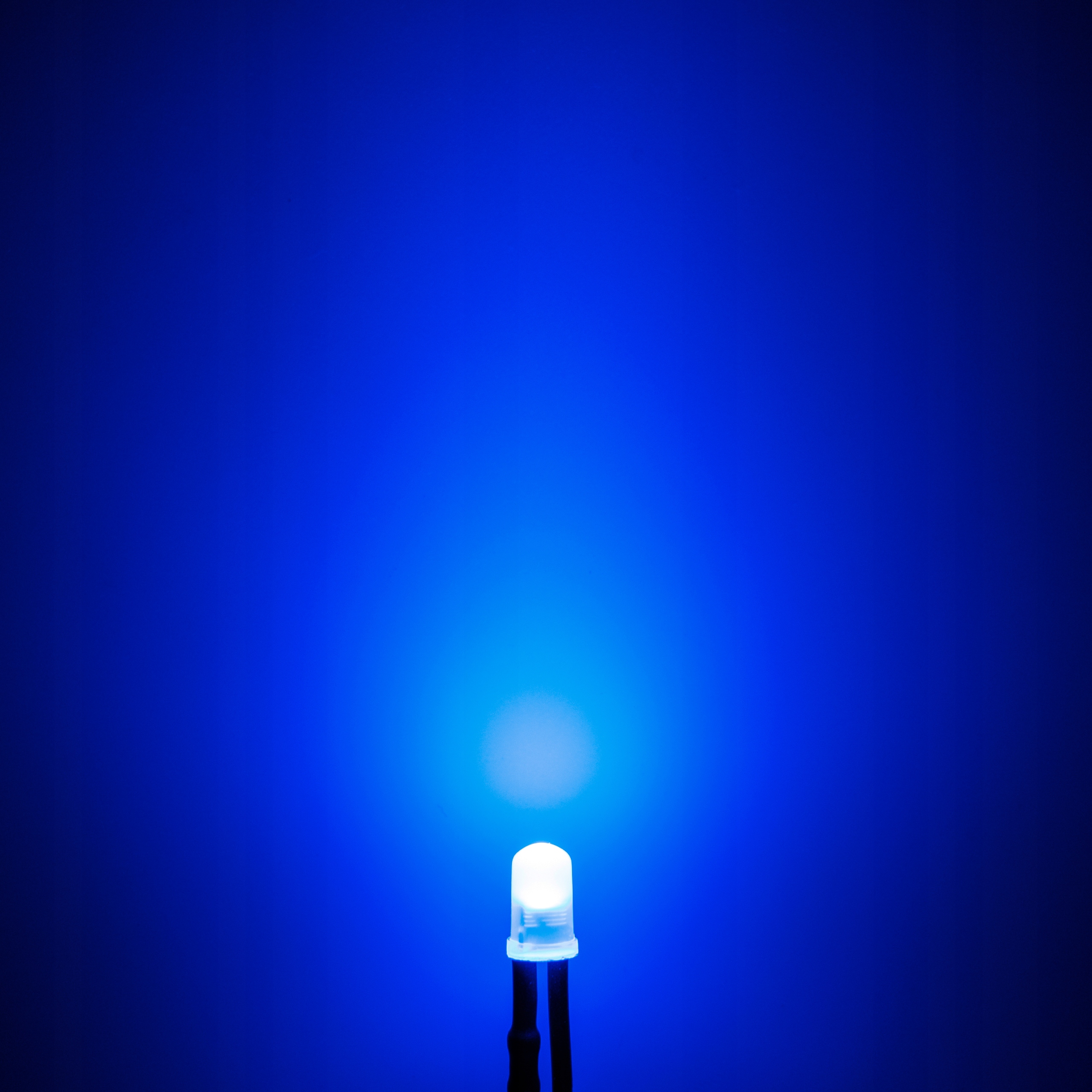 DIODY LED 12V 3mm NIEBIESKIE MAT - przewody długość 20cm | komplet 10 SZT EAN (GTIN) 5905937305493