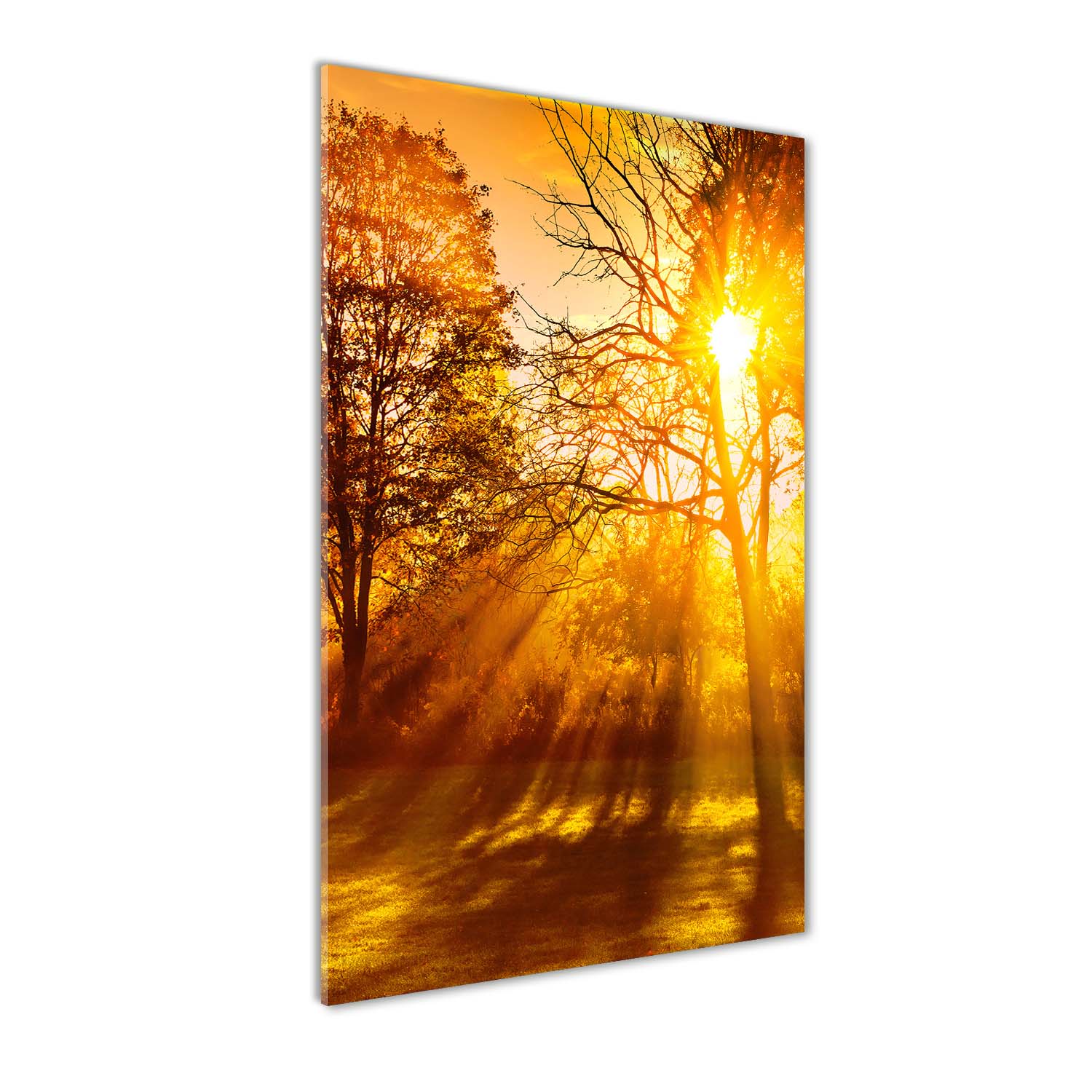 Foto obraz tvrzené sklo Park na podzim 60x120 cm