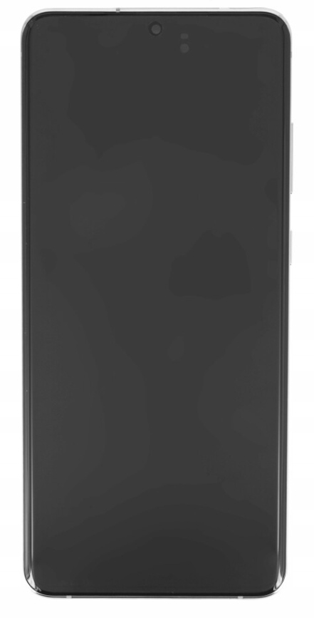 LCD displej pre Samsung Galaxy S20 Ultra 5G