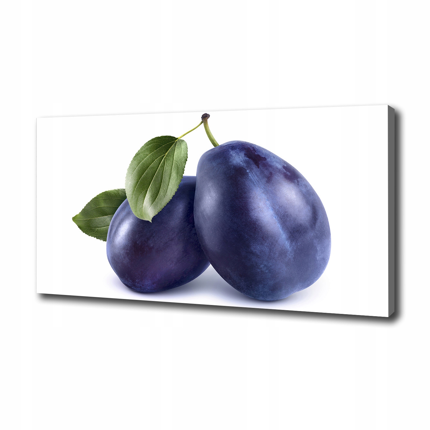 

Duży foto obraz na ścianę canvas Śliwki 100x50 cm