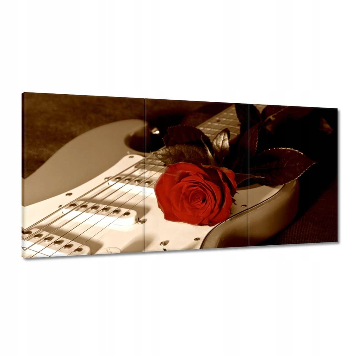 Obrazy 180x90 Pádlo a ruža